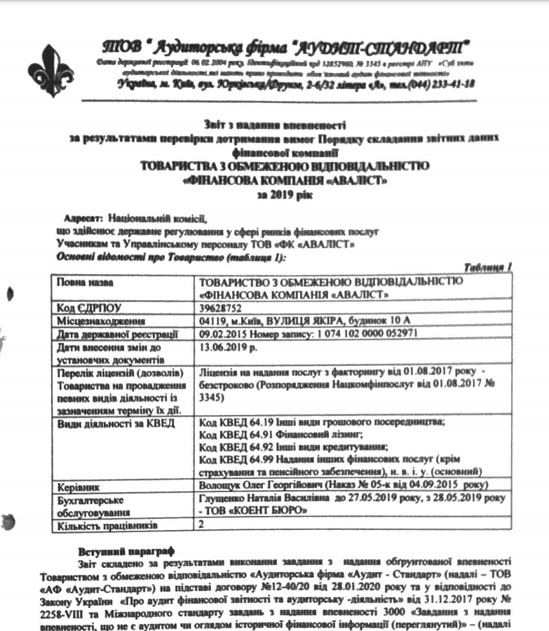 Аудиторський звіт за 2019 рік